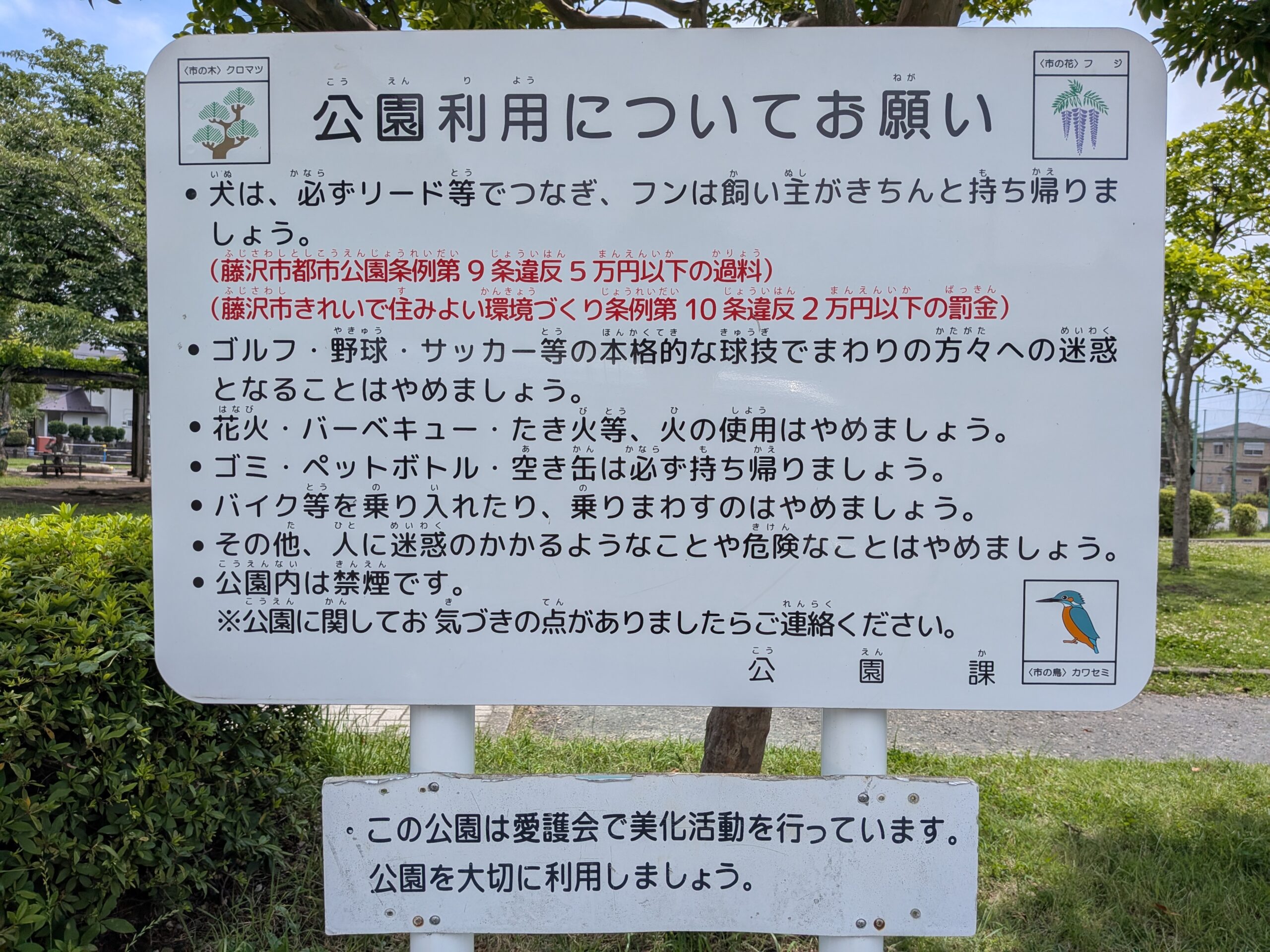 飯島興産有限会社　地域情報　子育て支援　天神公園　小田急江ノ島線　六会日大前　賃貸　売買　資産管理　相続