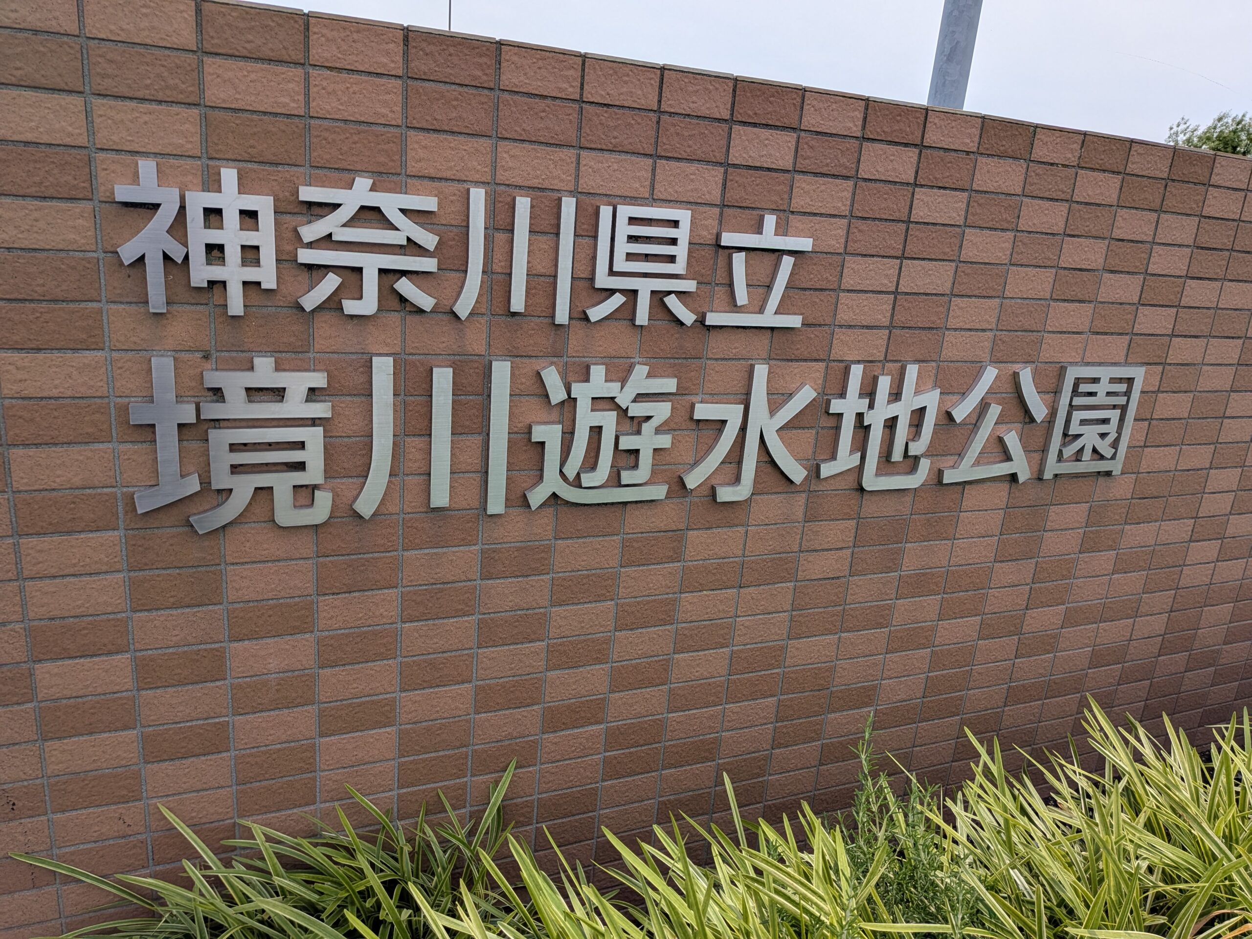 飯島興産有限会社　地域情報　子育て支援　境川遊水地公園　小田急江ノ島線　六会日大前　賃貸　売買　資産管理　相続