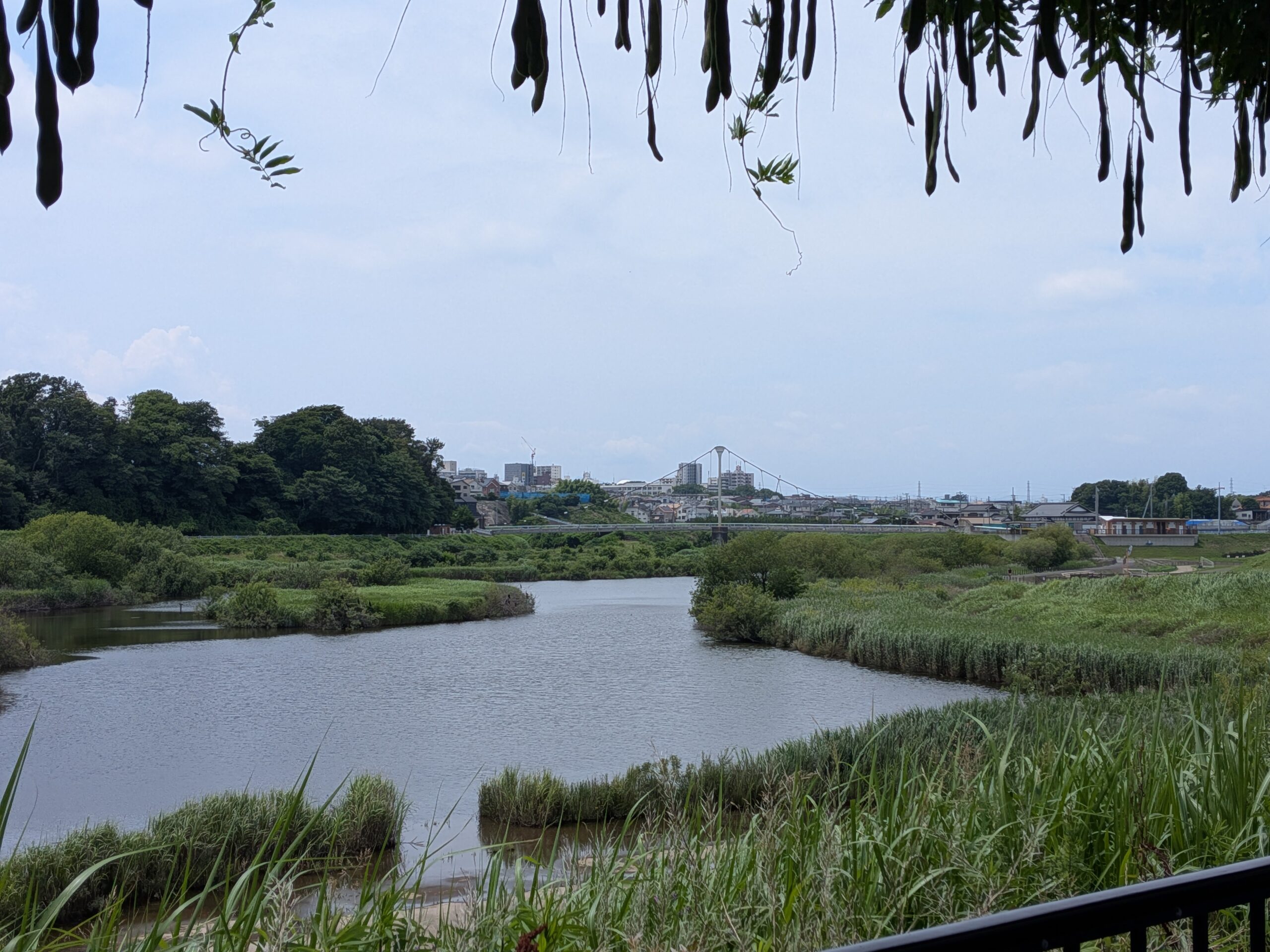 飯島興産有限会社　地域情報　子育て支援　境川遊水地公園　小田急江ノ島線　六会日大前　賃貸　売買　資産管理　相続