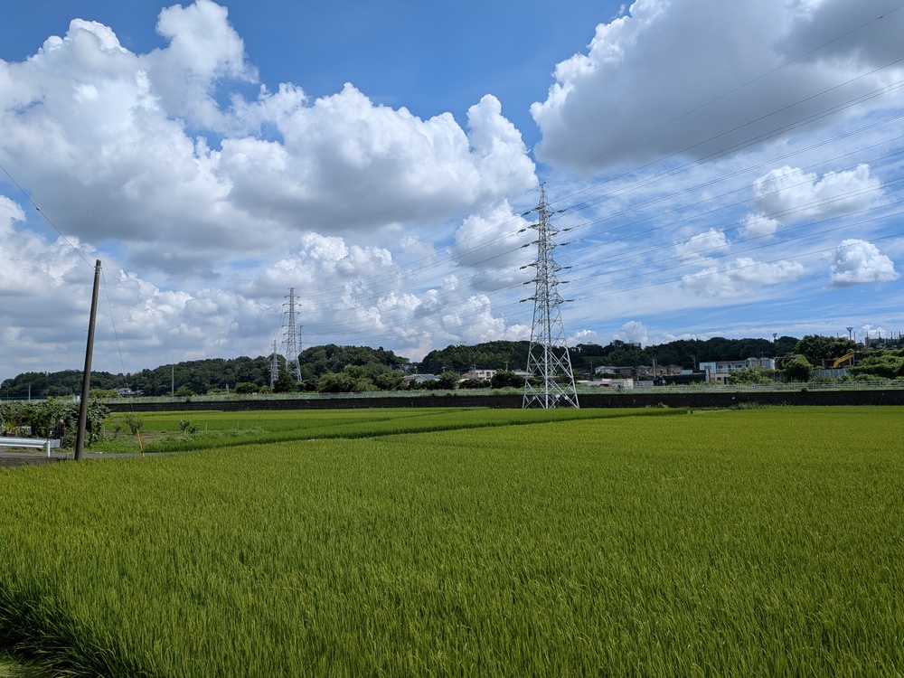 小田急江ノ島線 六会日大前 地域情報 飯島興産有限会社 西俣野 田園風景