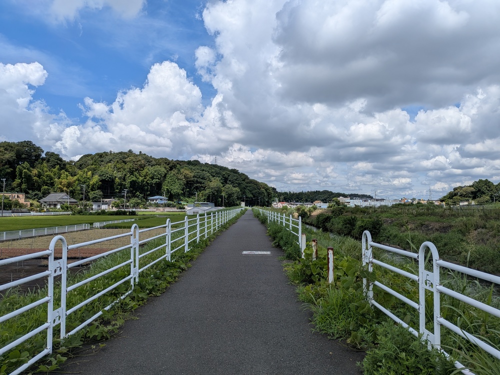 小田急江ノ島線 六会日大前 地域情報 飯島興産有限会社 境川サイクリングロード