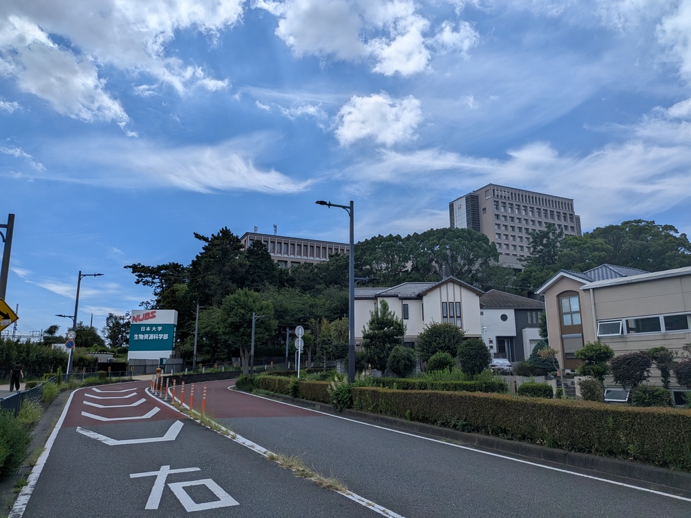 小田急江ノ島線 六会日大前 地域情報 飯島興産有限会社 六会日大前西口