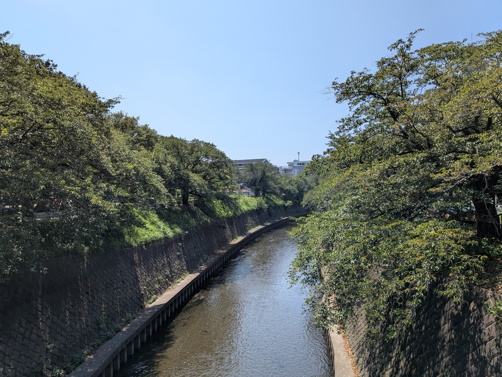 飯島興産有限会社 地域情報 小田急江ノ島線 湘南台 湘南台駅 賃貸 売買
